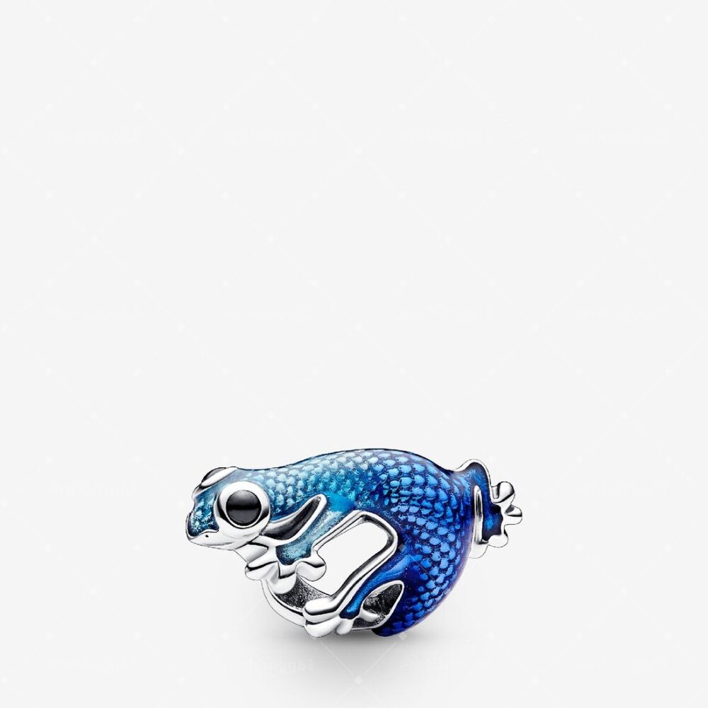 Pandora Bracelet